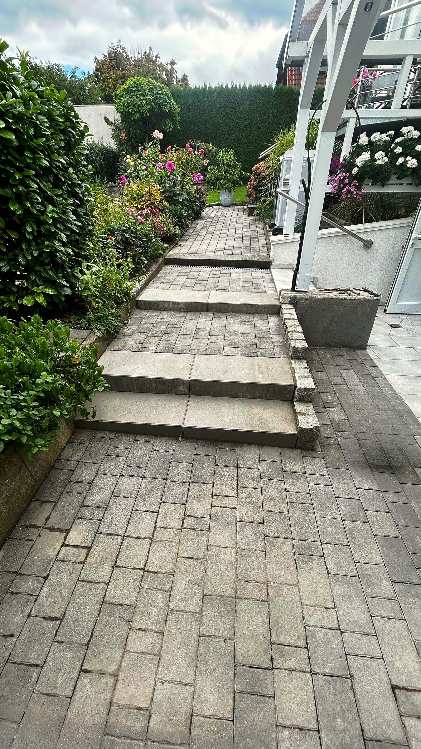 Gepflasterter Gartenweg mit Stufen zwischen Hortensien und Rosen