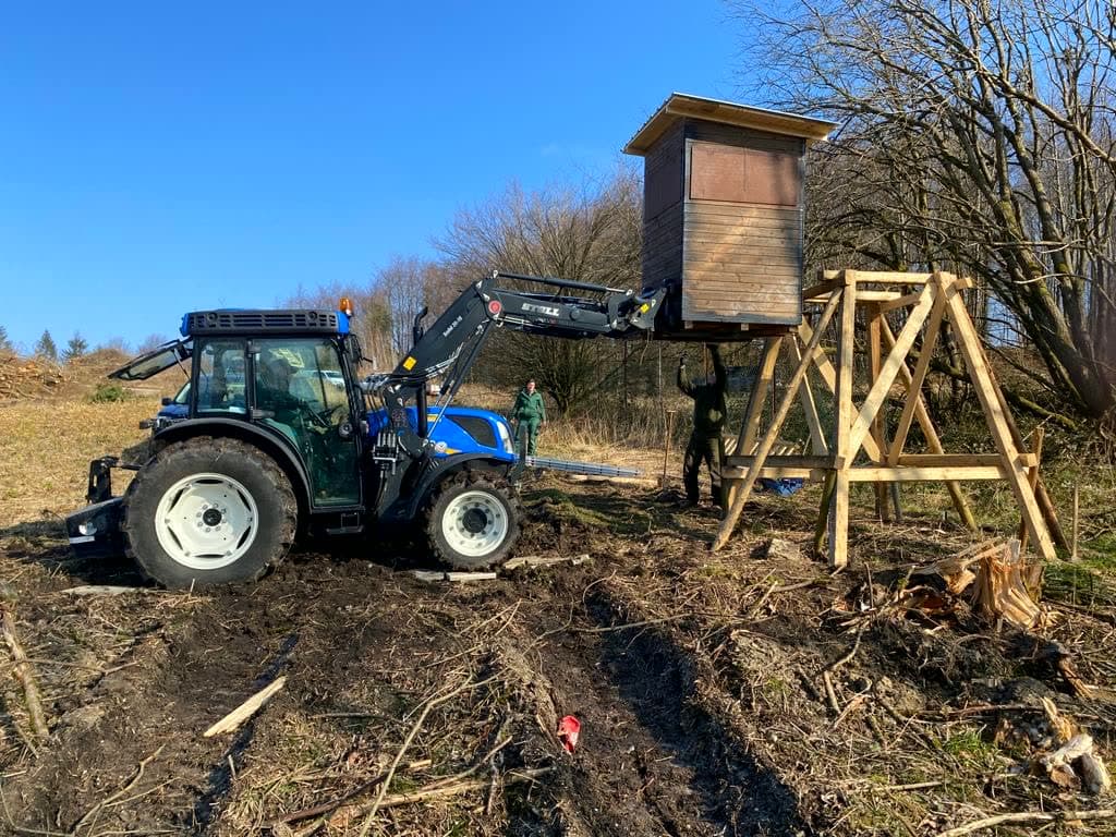 Traktor mit Frontlader hebt eine Hochsitzkanzel auf ein neues Holzgestell