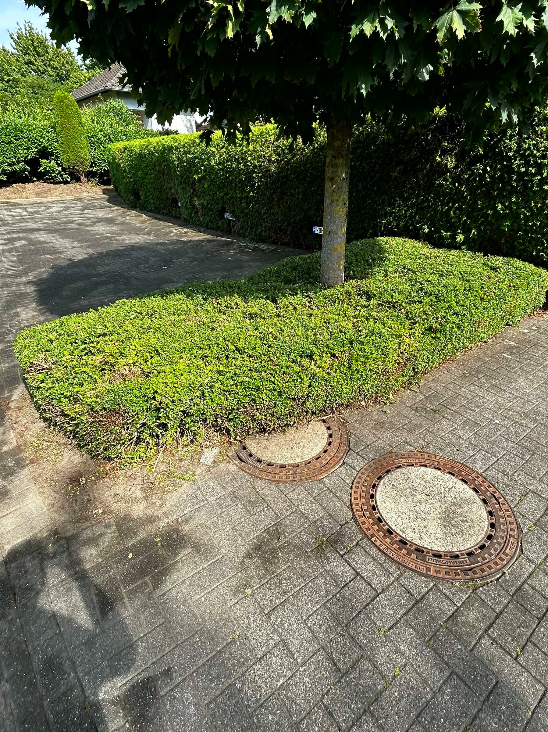 Gepflasterter Hof mit sauberen Fugen, das Beet unter dem Baum kurz geschnitten
